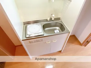 ロイヤルハウス西泉弐番館【2階】のキッチン