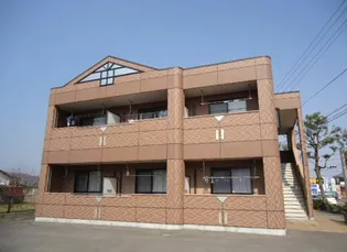 ルドーモくすの木の画像