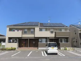 ペニーレインCの画像