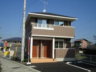 グレイスの画像