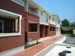 メリリーBの画像