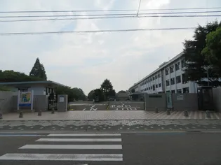 ディアス住吉Ⅱ【2階】の周辺