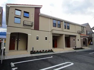 アイリス テルの画像