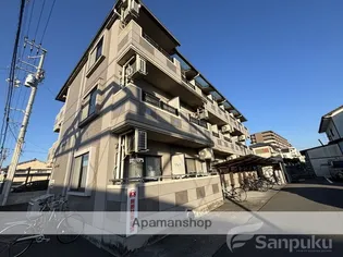 ソフィア美沢の画像