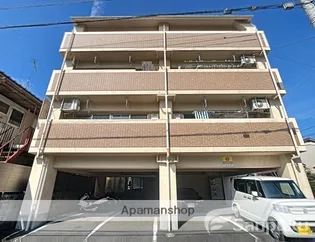 ファインコートの画像