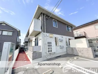 シェルセオンの画像