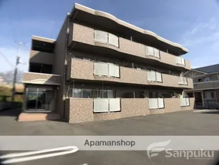 ブライムオーキッドの画像