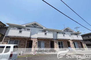 オレンジメグの画像