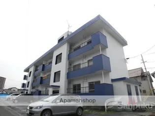 グレイスハナミズキの画像