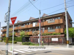 ルミウス喜多川Ⅰの画像