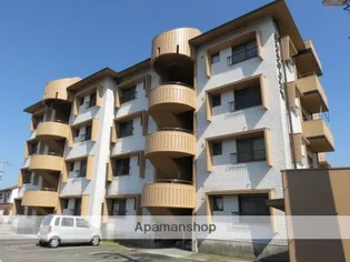 シンシアテイルの画像