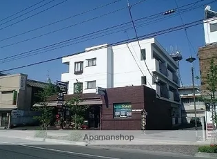 メイビス白石の画像