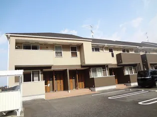 セントポーリアの画像