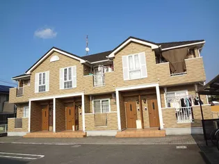 ブルーマーリン Aの画像