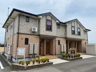 プラシード IIの画像