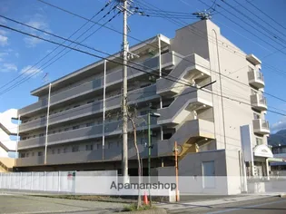 JOYぶりっじ上神拝の画像