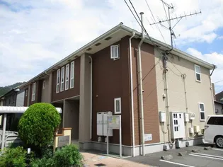 プラシードM Mの画像