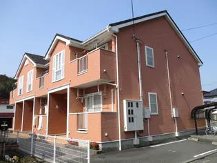 セーバリー フォレストの画像