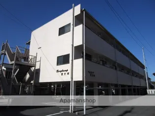 ベルカンプ東大洲の画像