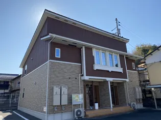 ヌーベル新星の画像