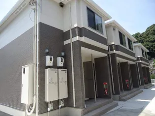 NY コンフィードの画像