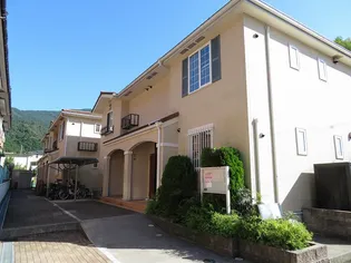 NAVEL AVENUE Ⅱの画像