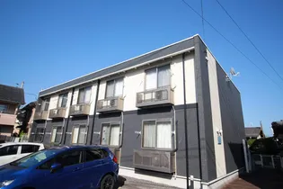 レオネクストモミの木の画像