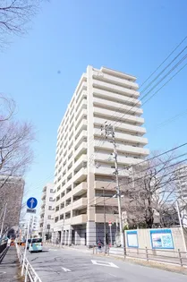 ドゥエル若草の画像