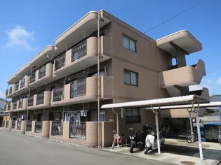 ラフォーレ鷹の子の画像