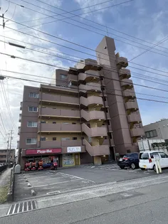 Sキャメリアの画像