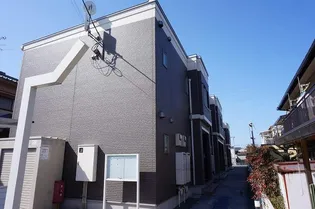 シャルマンNの画像