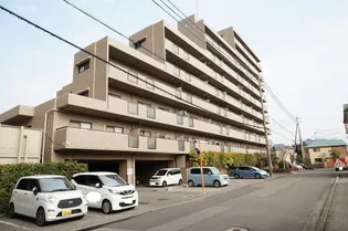 サーパス古三津【4階】の外観