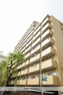 チュリス松山【1002号室】の外観