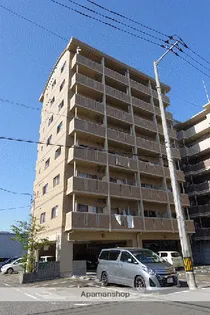 エルフィーノの画像