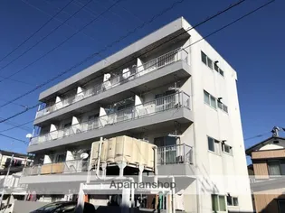 ペガサスYの画像