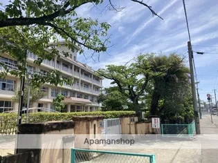 藤本商事第三ビル【302号室】の周辺