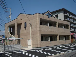 ボニータの画像