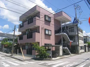 ファステ テームの画像