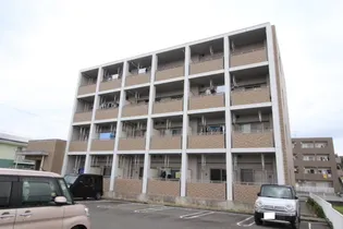 ニューカレントの画像