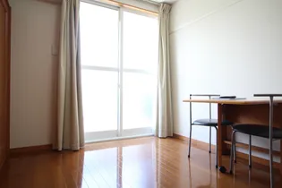 レオパレスアデッソⅡ【206号室】の内装