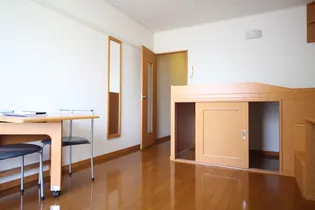 レオパレスアデッソⅡ【206号室】の居間