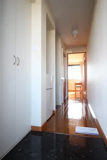 レオパレスサーブ【101号室】の玄関