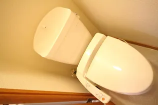 レオパレスコンツェルト【201号室】のその他画像