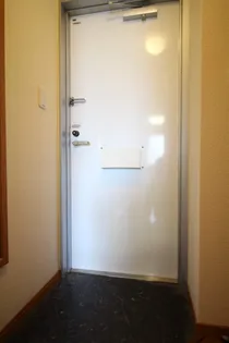 レオパレス花鳥【205号室】の玄関