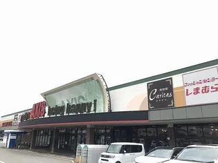 レオパレス花鳥【304号室】の周辺