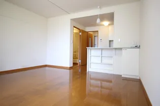 レオパレス花鳥【306号室】の居間