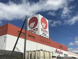 レオネクストグリーンパル野市Ⅲ【103号室】の周辺