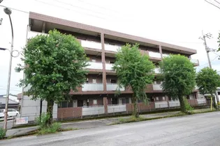 ラルジュ ロジュマンの画像