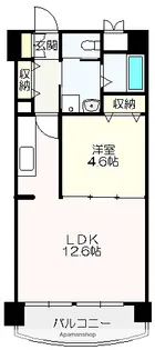 ドマーニ葛島【2階】の間取り