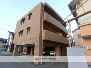 マリベールT&Cの画像